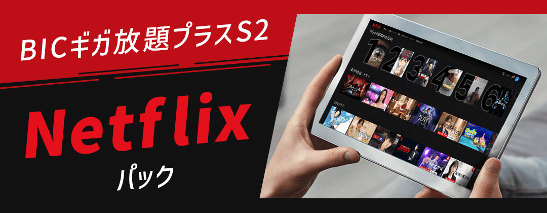 BICギガ放題プラスS2 Netflixパック