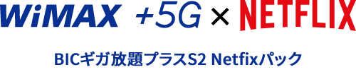BICギガ放題S Netflixパック